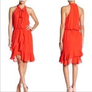 NWT Parker Diane Dress - Spice